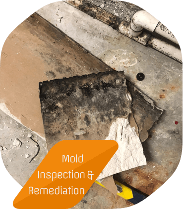 Reliable & Certified Cleaning Technicians Reliable & Certified Cleaning Technicians