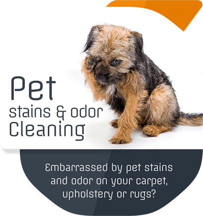 Pet Stains & Odor Removal Pet Stains & Odor Removal